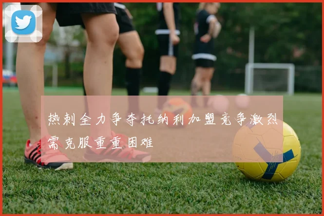 热刺全力争夺托纳利加盟竞争激烈需克服重重困难